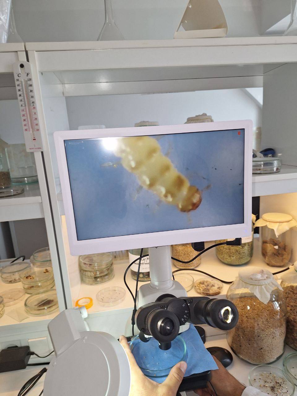 Laboratoriya yangiliklari