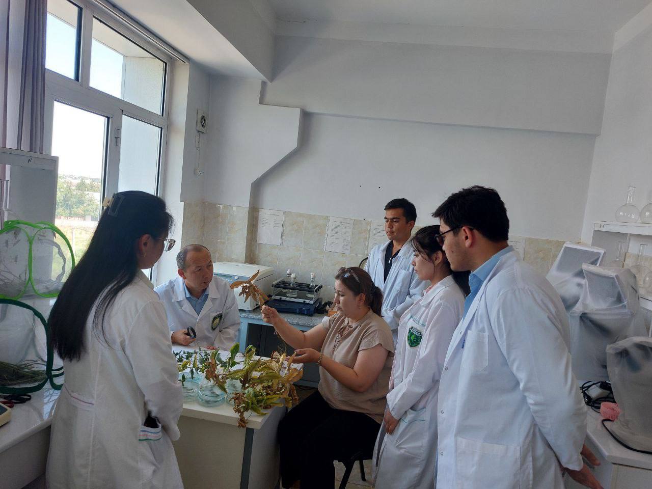 Laboratoriya yangiliklari