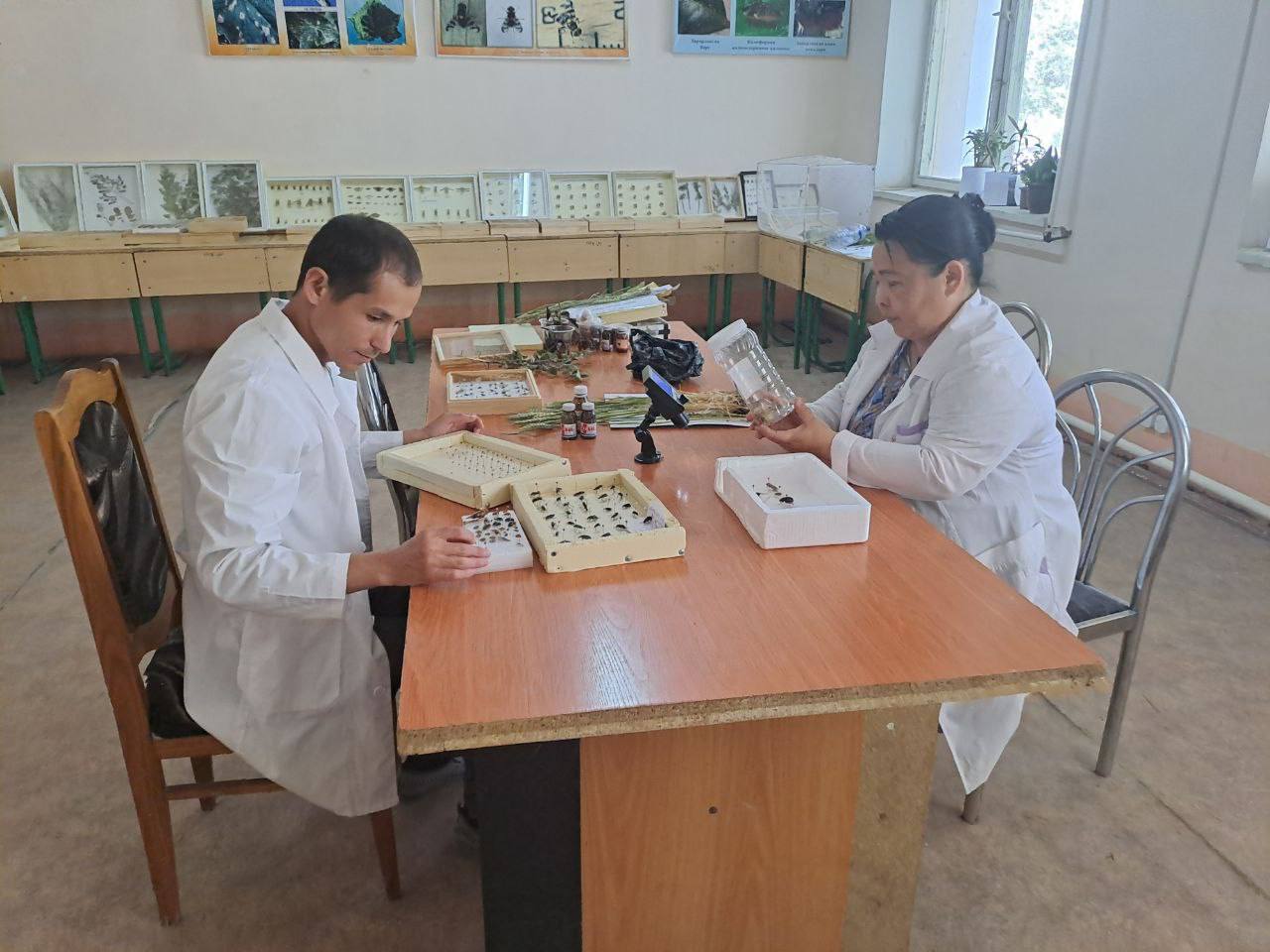 Mintaqaviy filiallarda ham tadqiqotlar davom etmoqda….