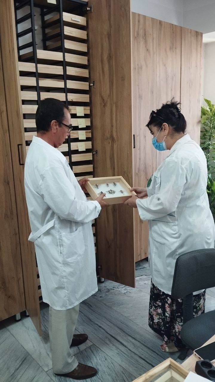 Laboratoriya yangiliklari