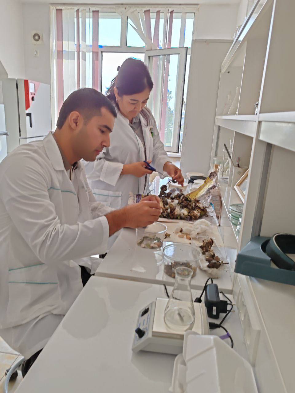 Laboratoriya yangiliklari