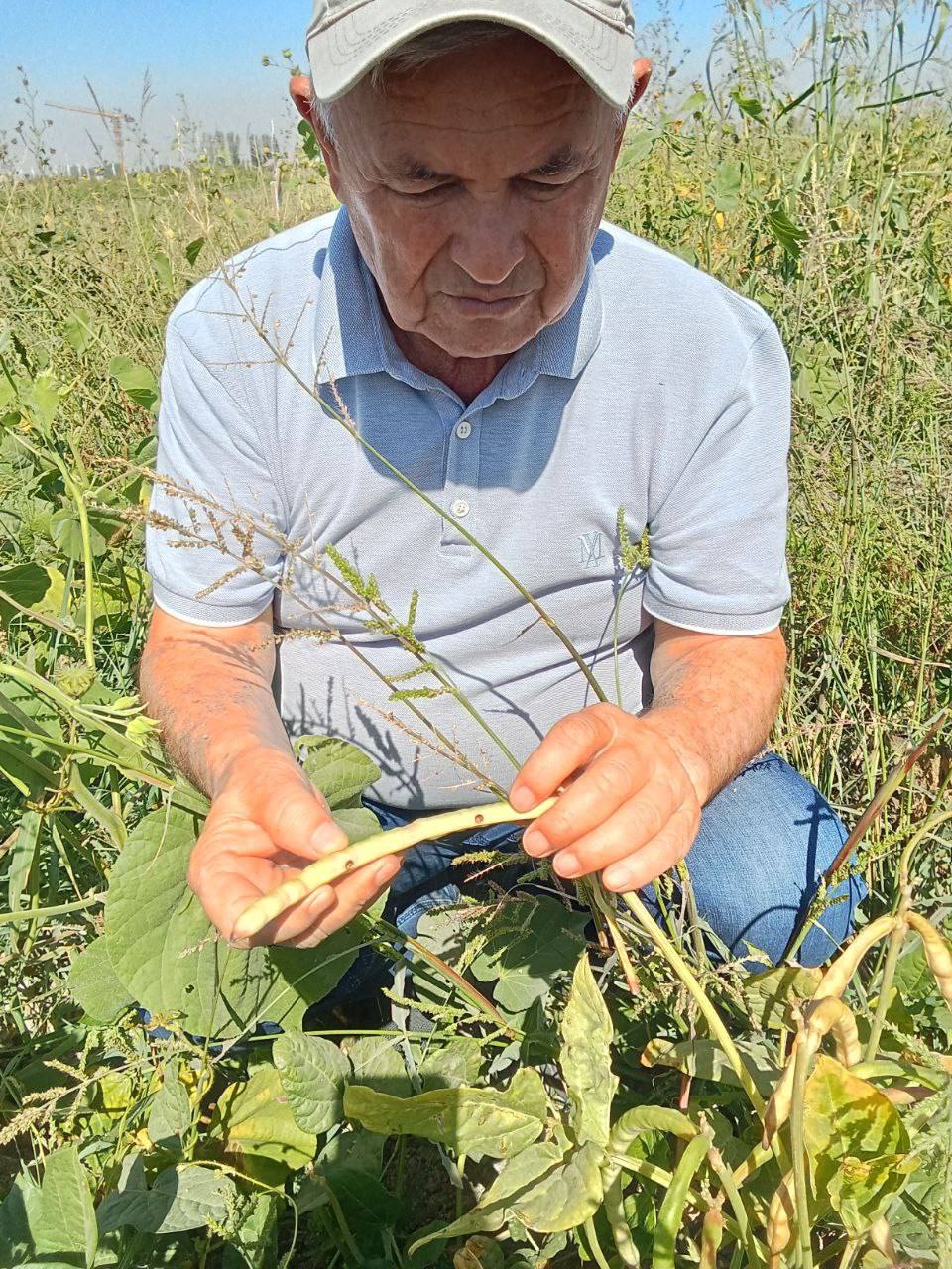 Laboratoriya yangiliklari