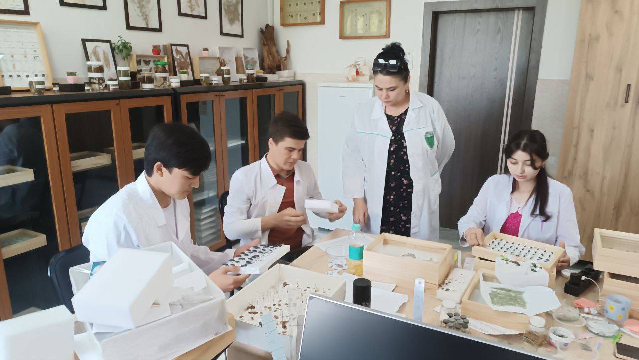 Laboratoriya yangiliklari