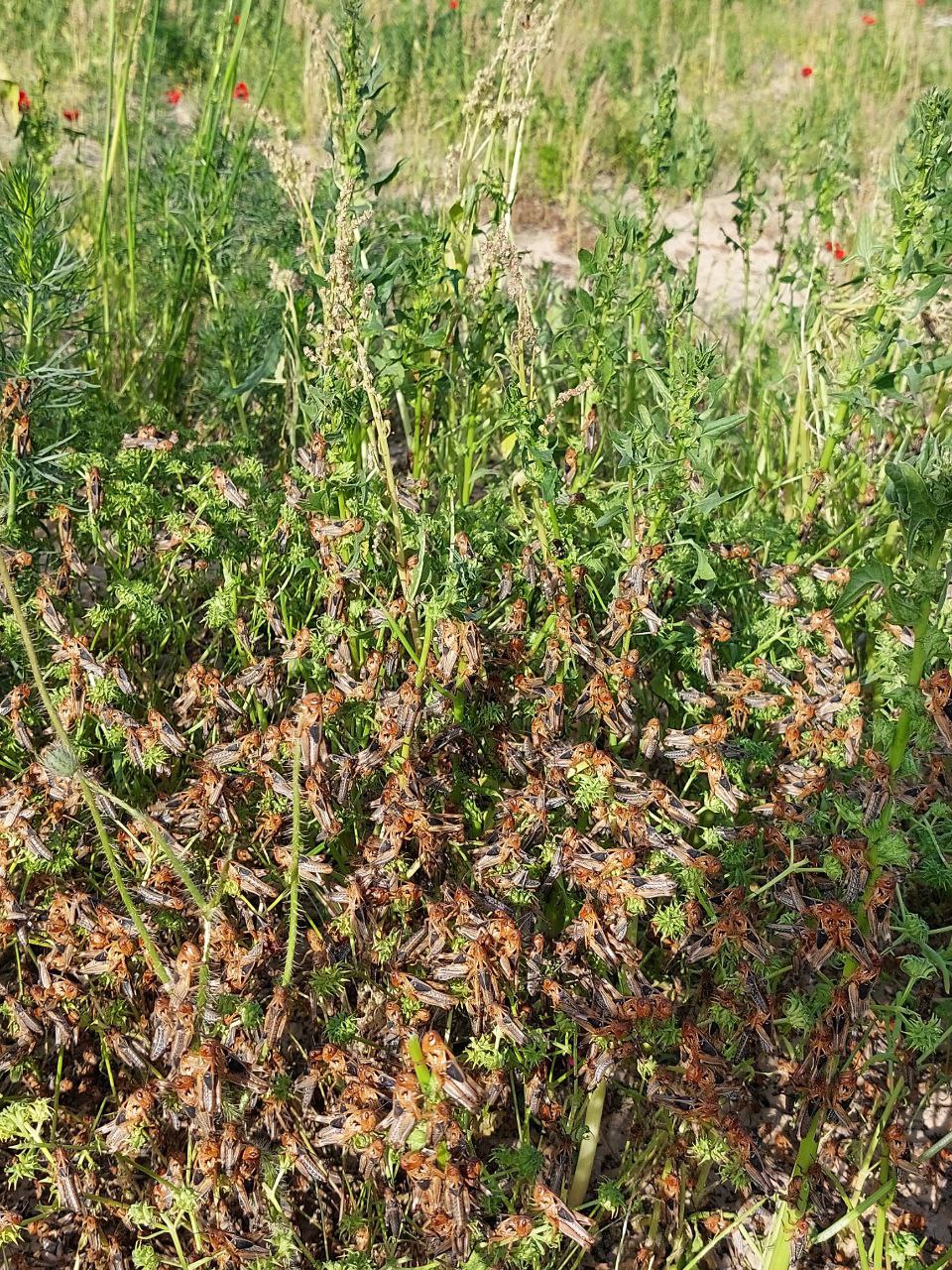 Laboratoriya yangiliklari