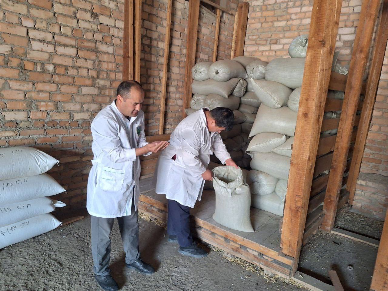 Laboratoriya yangiliklari