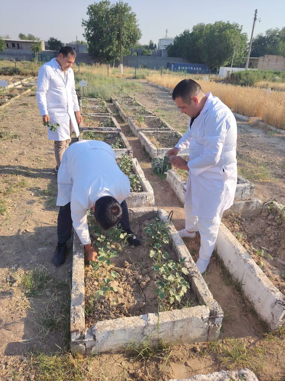 Laboratoriya yangiliklari